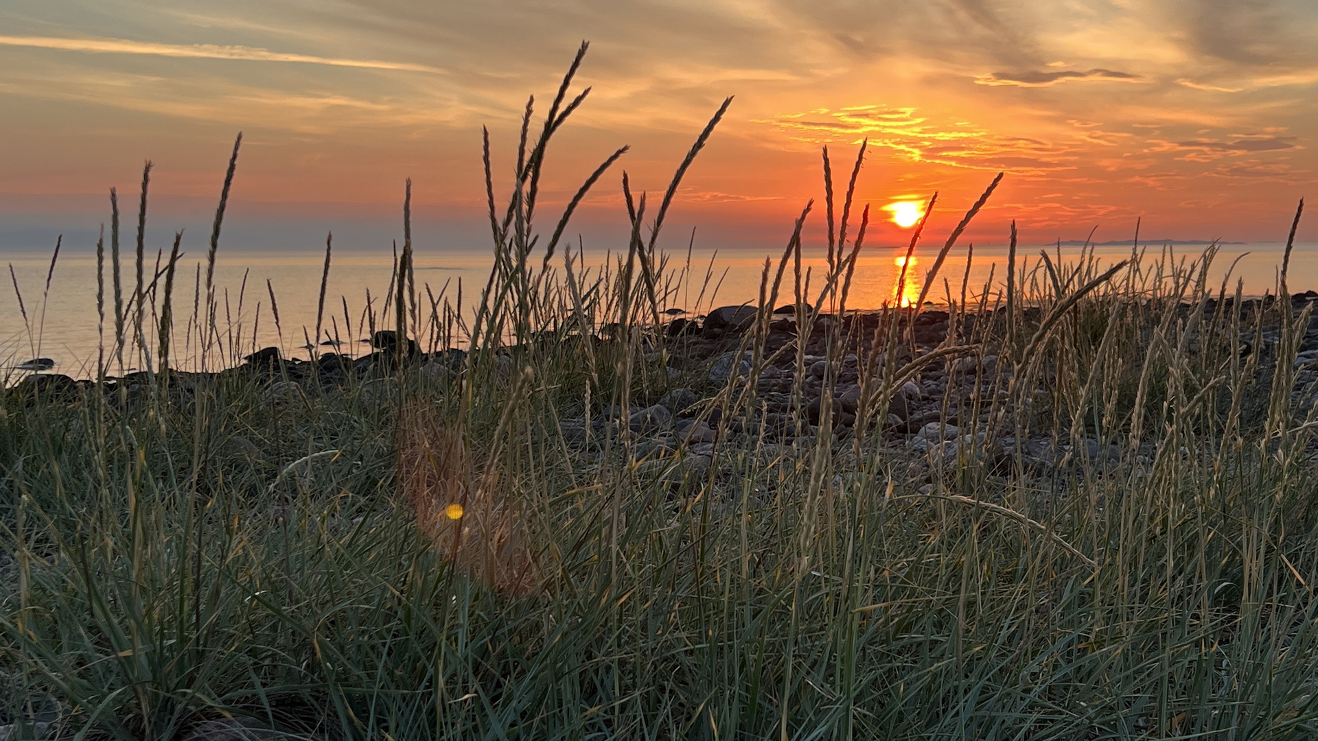 Sunset auf Dyrön / SWE