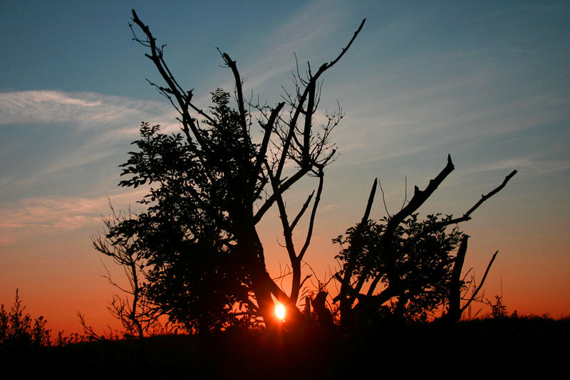 Sunset auf Rügen