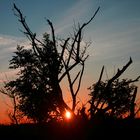 Sunset auf Rügen