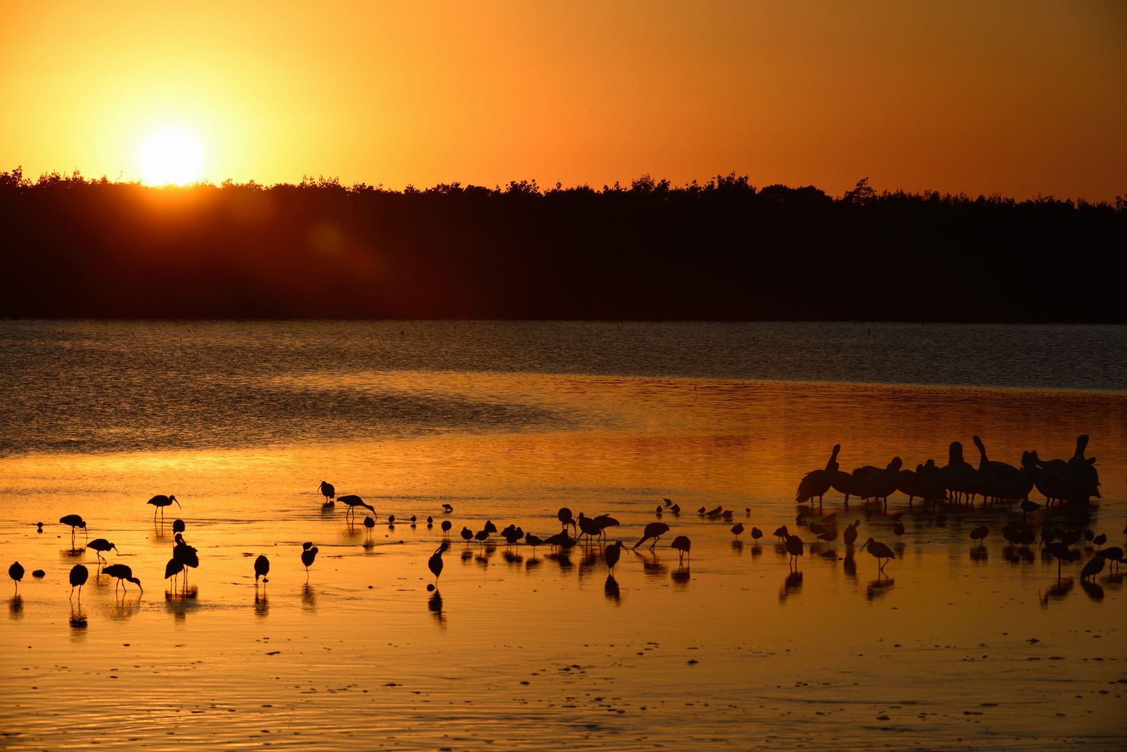 Sunset auf Sanibel Island