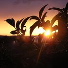 Sunset auf unserem Balkon