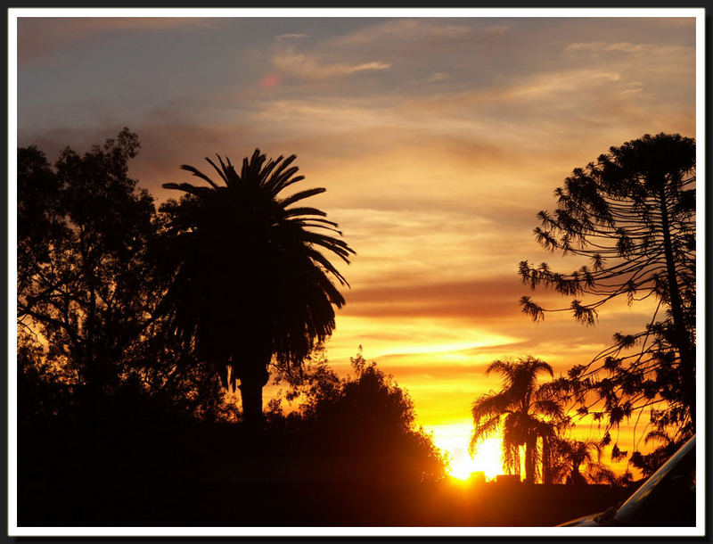 Sunset @ Balboa Park