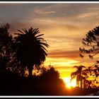 Sunset @ Balboa Park