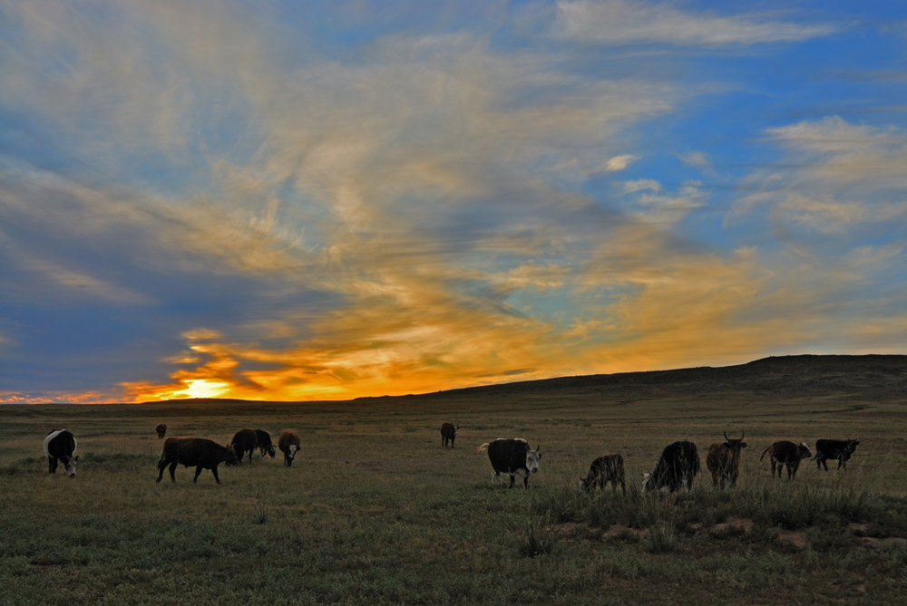 Sunset before Bayandelger