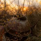 Sunset Behind a Blender