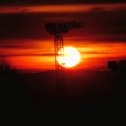 Sunset behind cranes