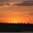 Sunset behind of The Fens... 2006