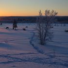 Sunset bei Inari