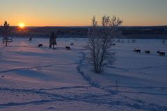 Sunset bei Inari