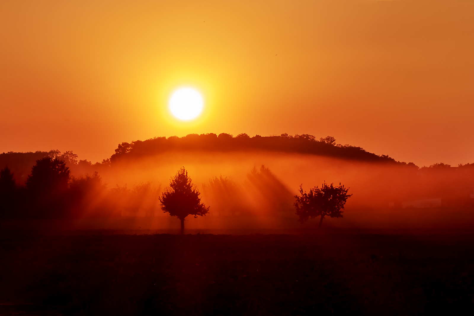 Sunset bei Oedheim