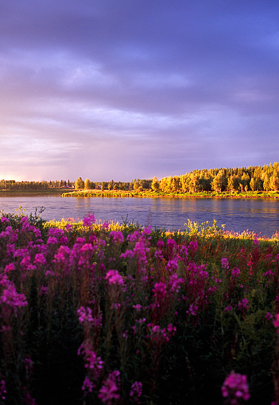 Sunset bei Pello (Lappland, FI)