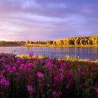 Sunset bei Pello (Lappland, FI)