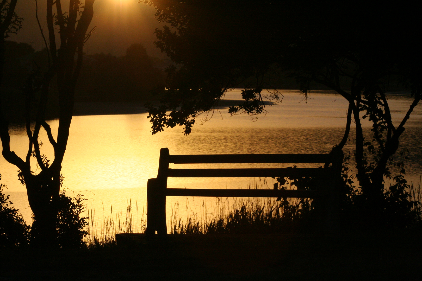 Sunset Bench