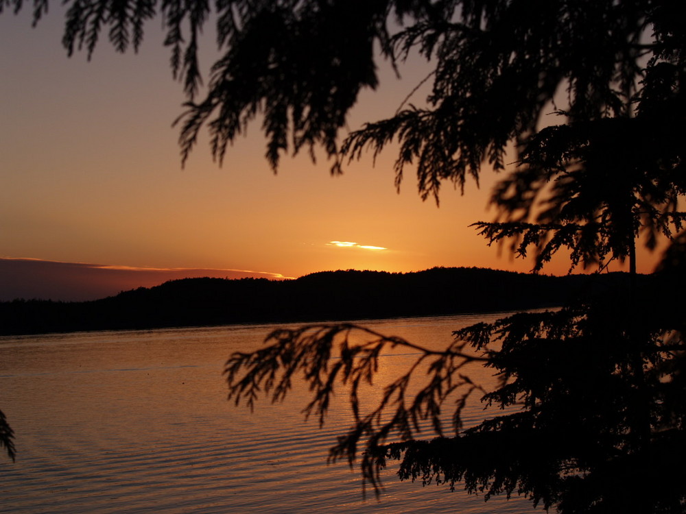 Sunset bench tofino Canada 2