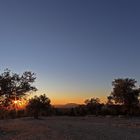 Sunset between the olive trees in Antequera