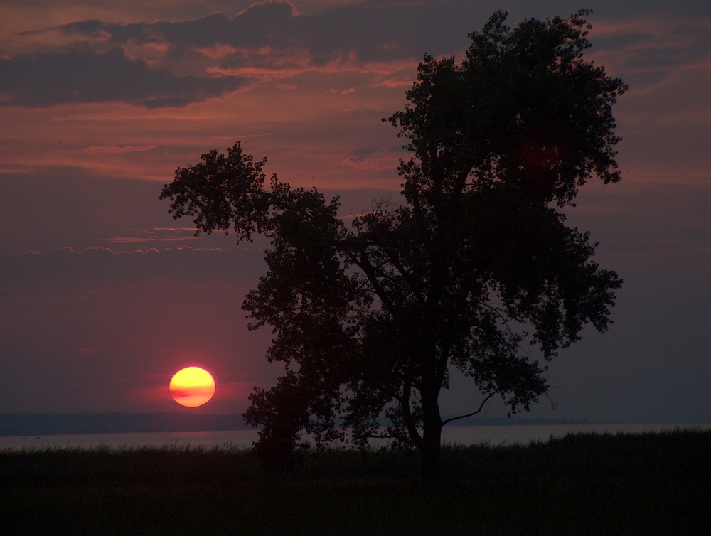 sunset Bodensee