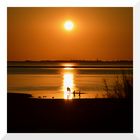 Sunset "Boulevard" am Strand von Föhr