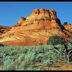 Sunset Butte