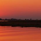 sunset chobe nationalpark