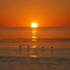 Sunset Cliffs, San Diego