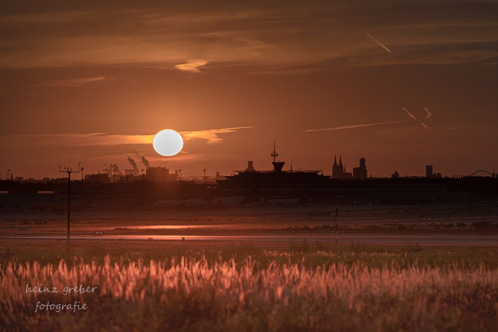 Sunset Cologne