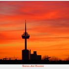 Sunset cologne