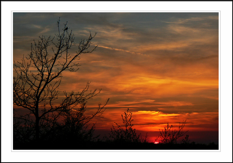 Sunset Cologne