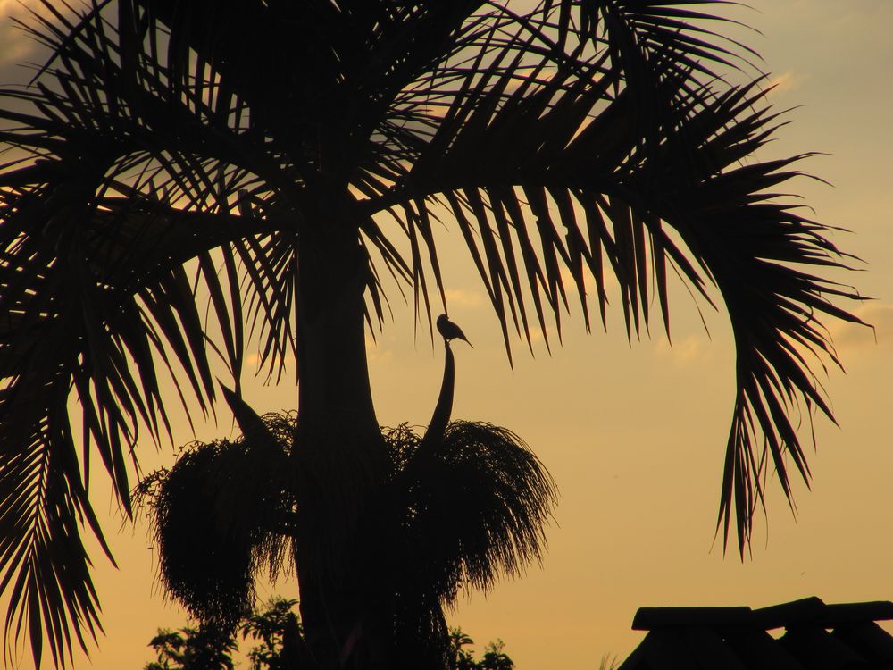 Sunset Colombia von Deike Ric 