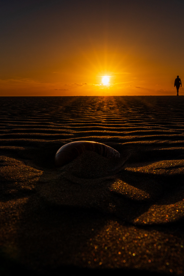 Sunset @ Conil de la Frontera, Spain, November 2023