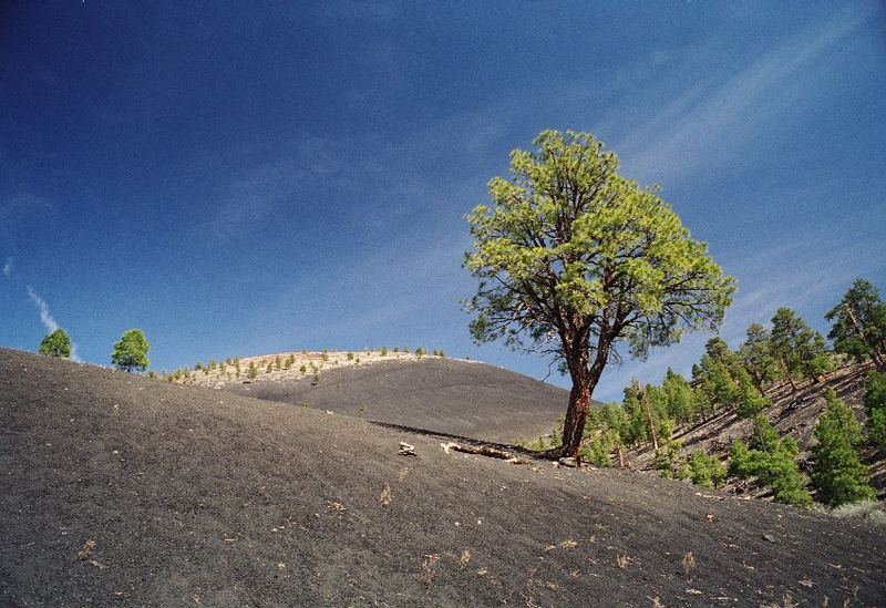 Sunset Crater