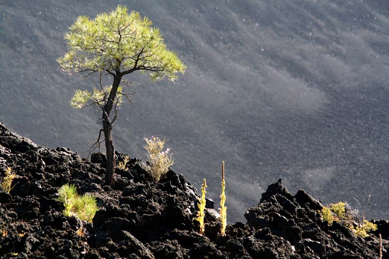 Sunset crater