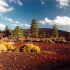 Sunset Crater Volcano National Monument