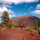 Sunset Crater Volcano National Monument