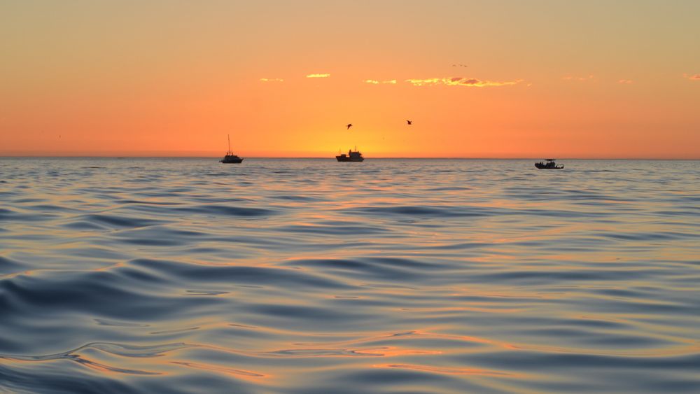 Sunset Cruise in Kapstadt