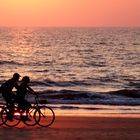 Sunset Cycling