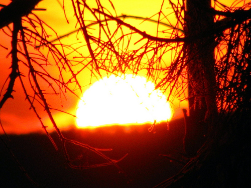 Sunset von beemchen44 