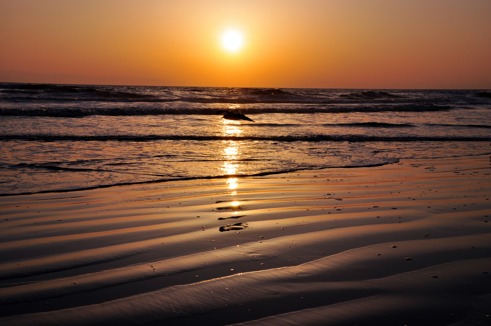 Sunset Daytona Beach