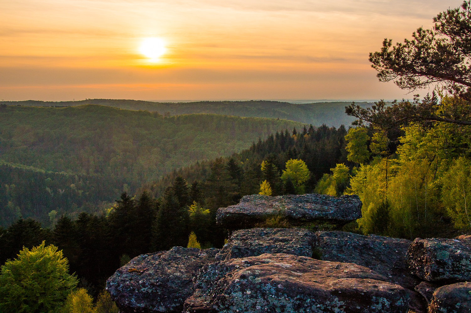 Sunset de Printemps