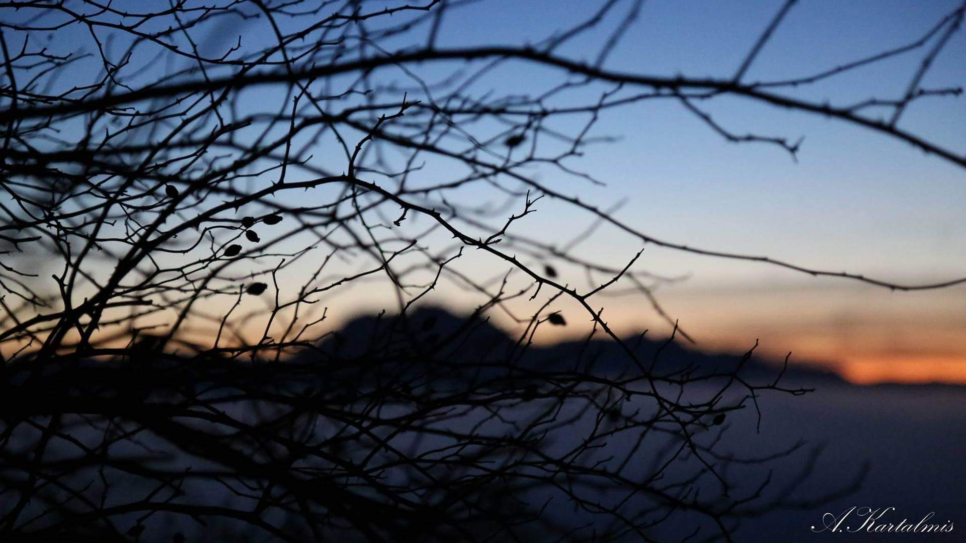 Sunset December Foto & Bild sunset, sonnenuntergang, sonne Bilder auf