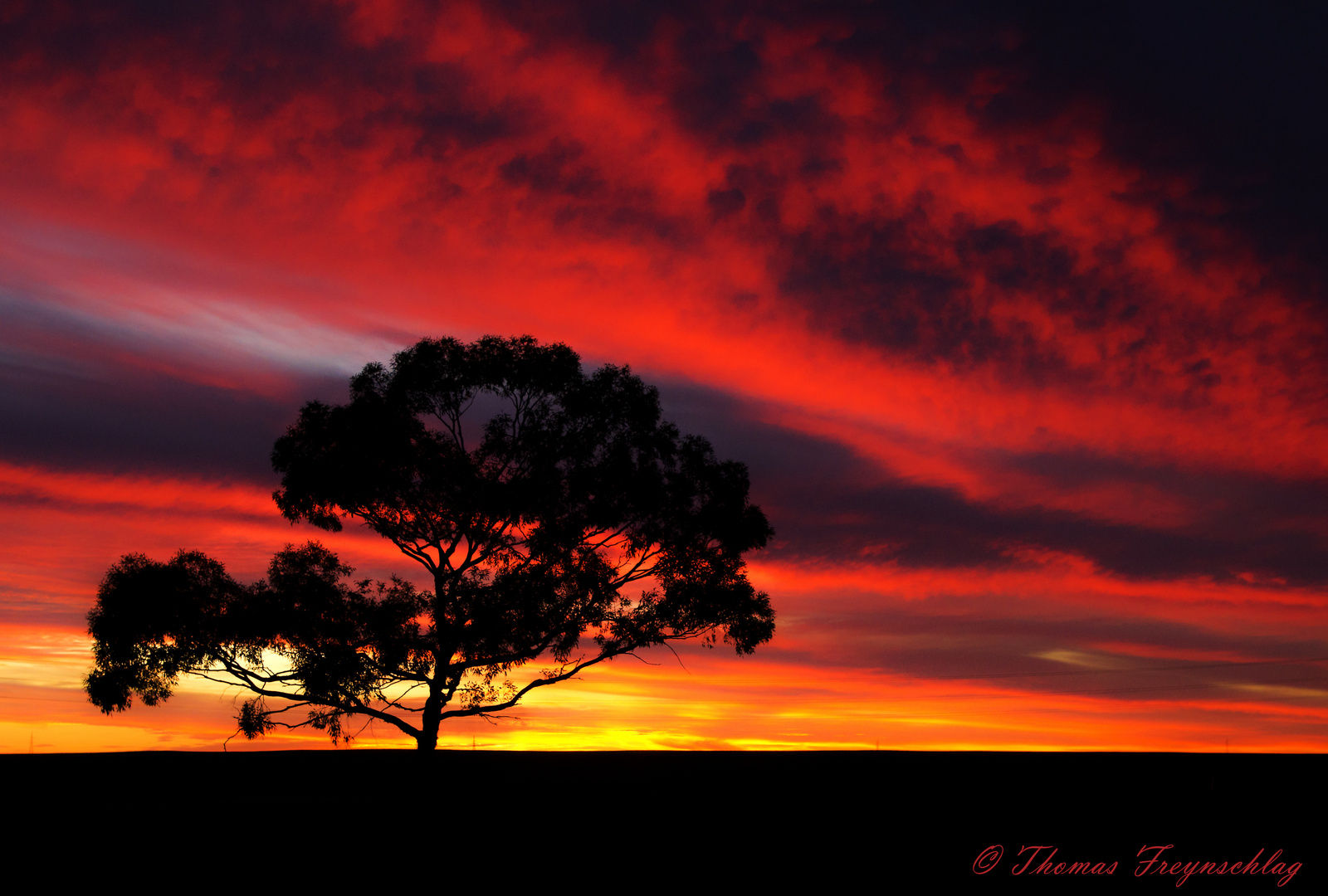 Sunset Down Under