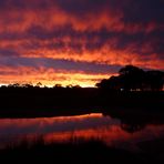 Sunset downunder