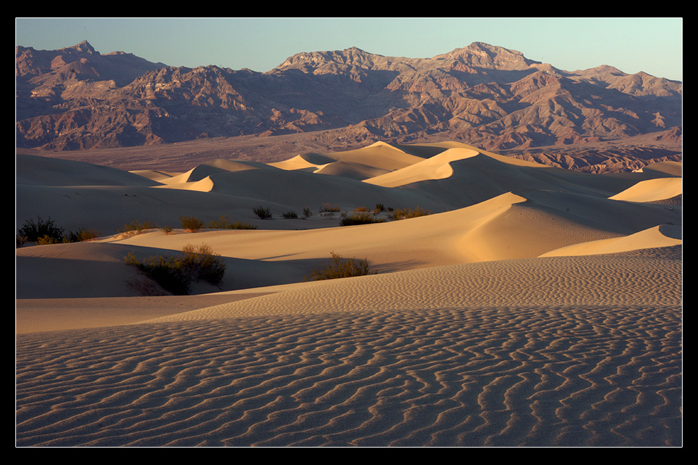 sunset dunes