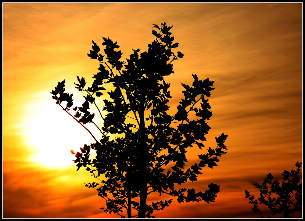 Sunset Enderndorf