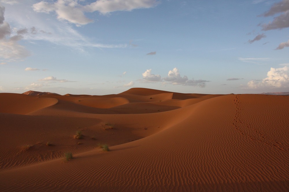 Sunset Erg Chebbi