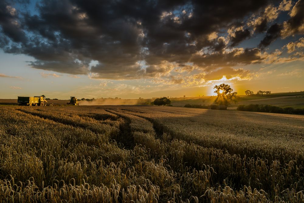 Sunset Farming Foto & Bild landschaft, kulturlandschaften, sonnenuntergang Bilder auf