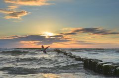 sunset- feeling Hiddensee