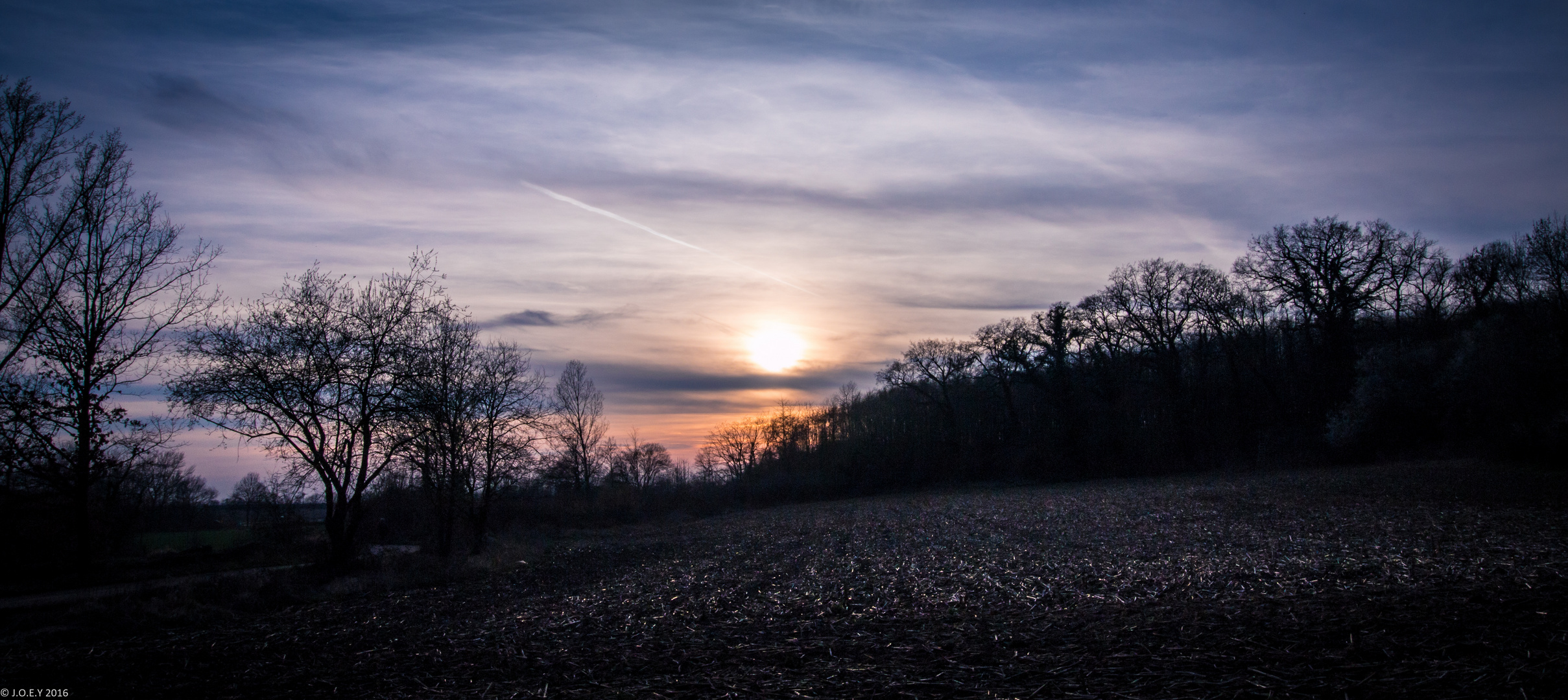 sunset field