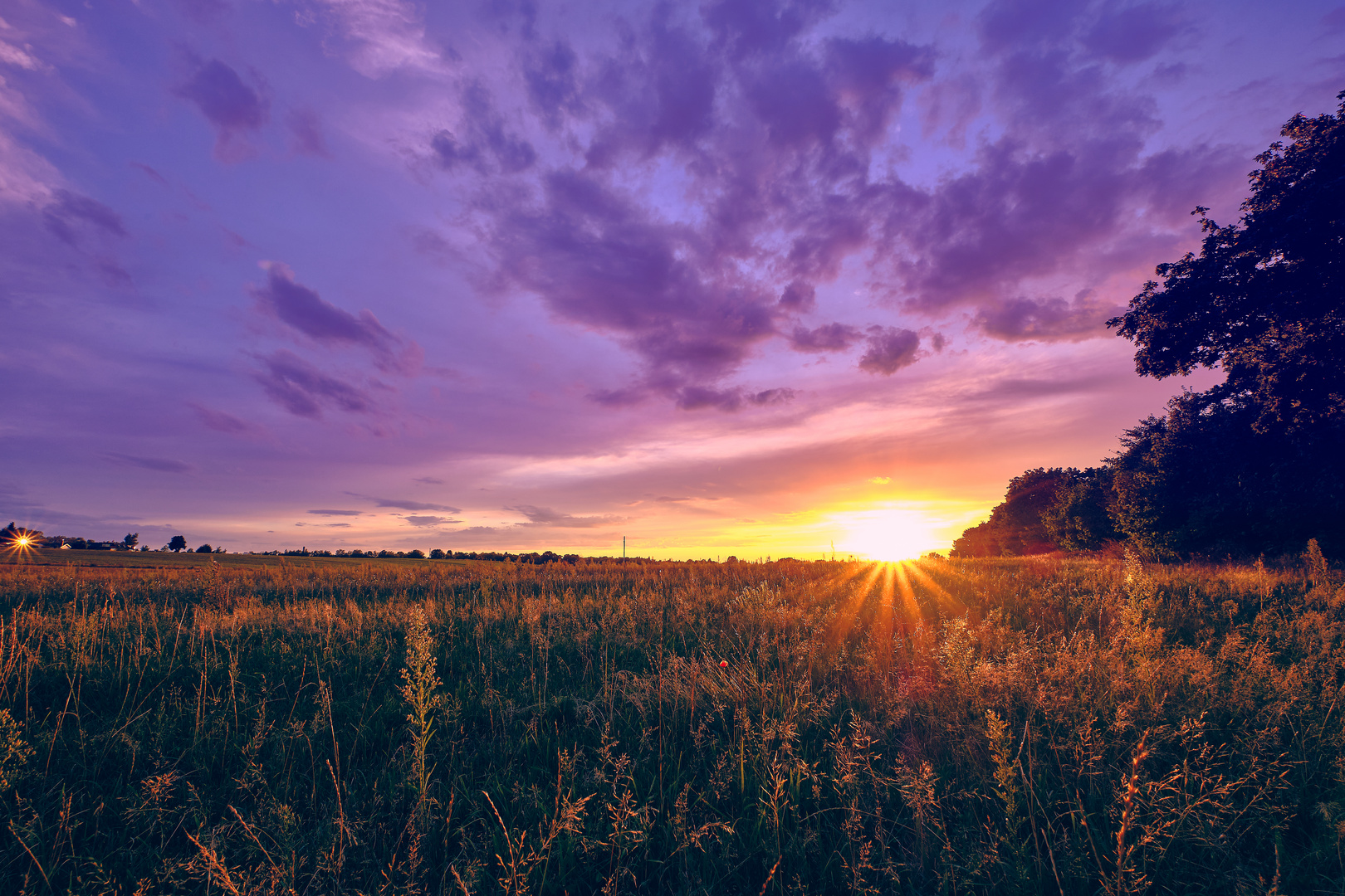 Sunset field