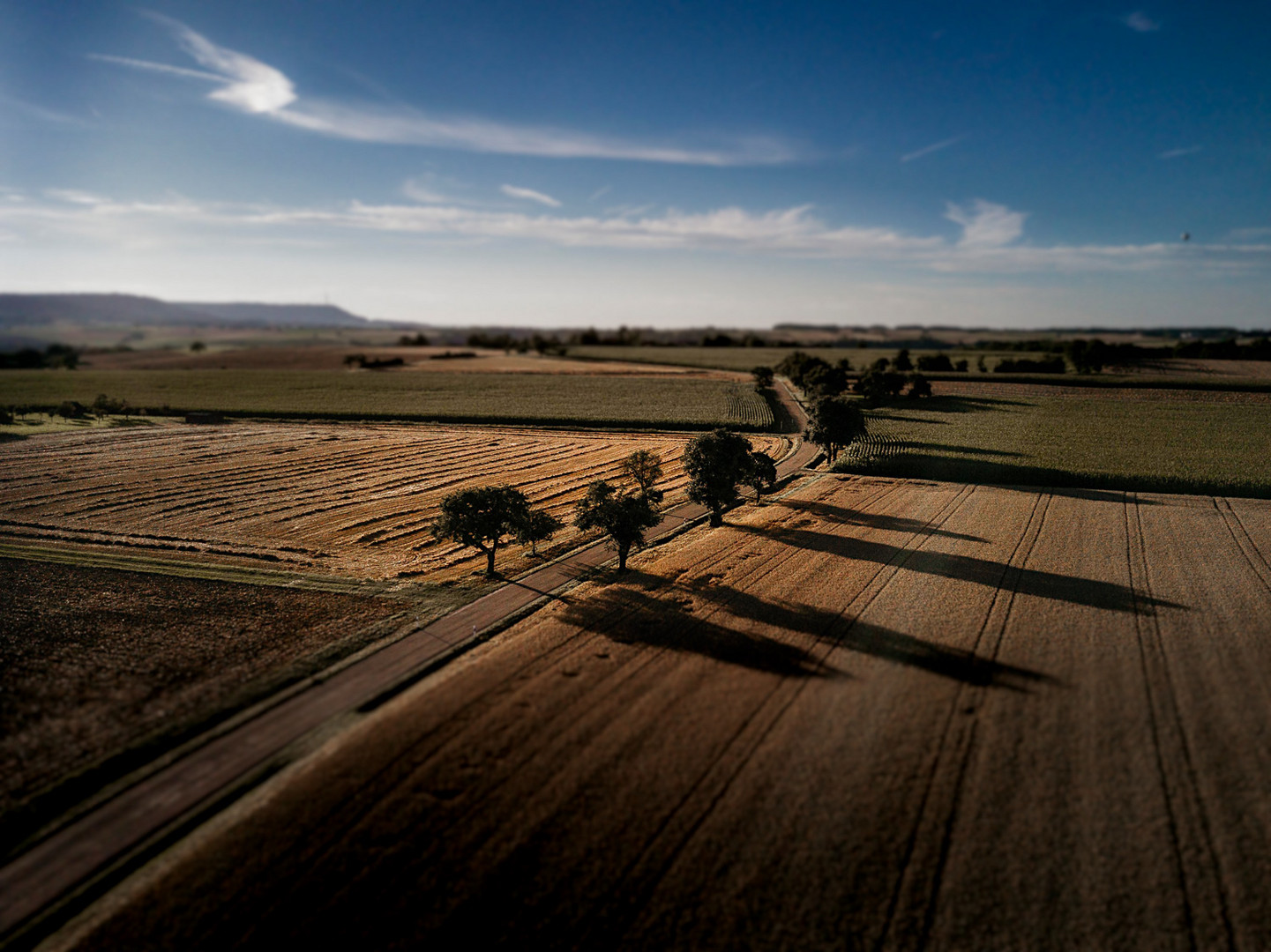 Sunset Fields