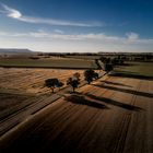 Sunset Fields